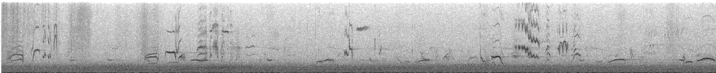 Merle noir - ML644185467