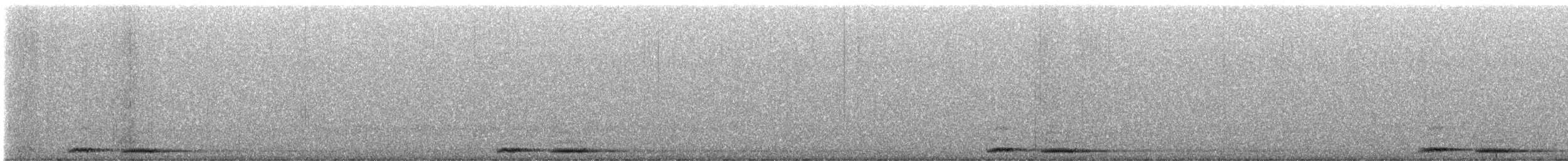 Tasmanian Boobook - ML644185555