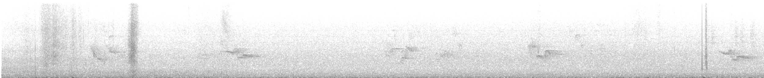 フタスジモズモドキ - ML644185592