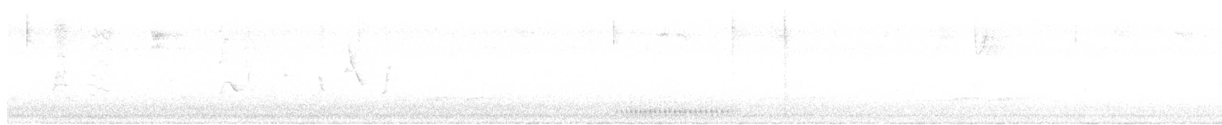 Hairy Woodpecker - ML644186122