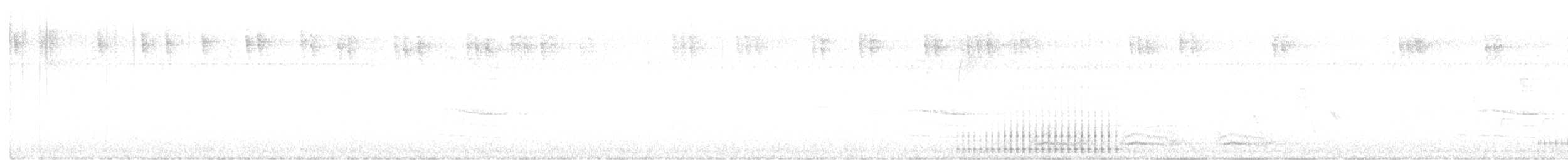 Hairy Woodpecker - ML644186127