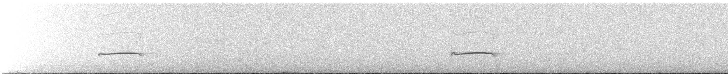 Western Wood-Pewee - ML644187187