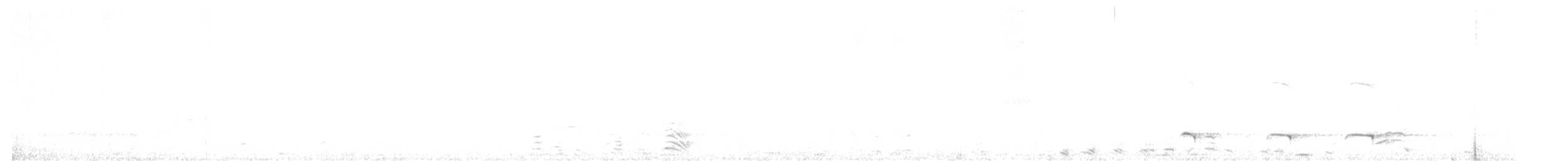 Toprak Rengi Yerçavuşu - ML644187247