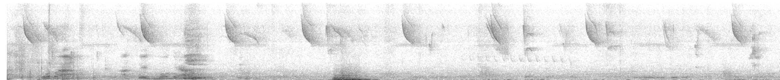 Spot-backed Antshrike - ML644188182