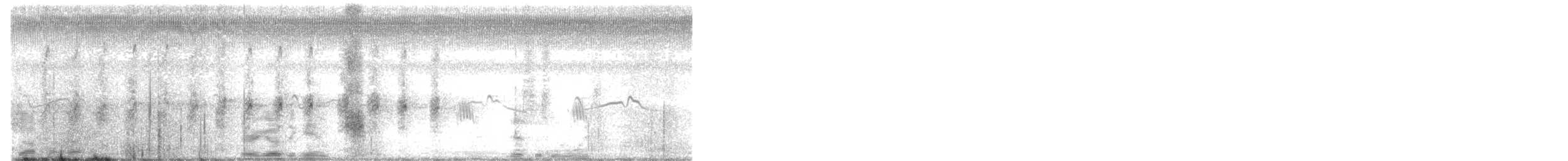 Northern Jacana - ML644188256