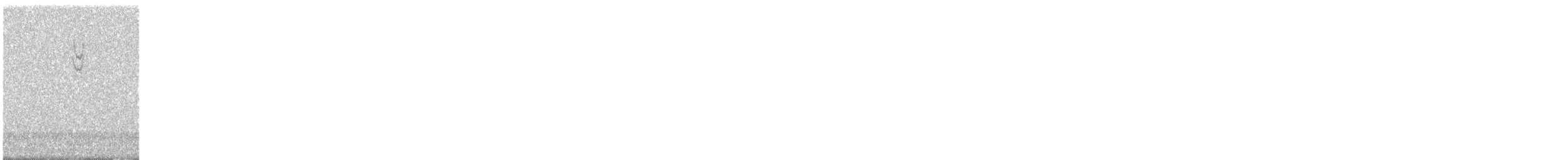 new world sparrow sp. - ML644188567