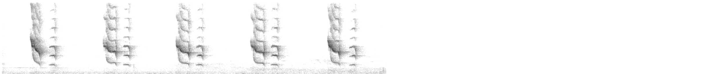 South Island Saddleback - ML644189241