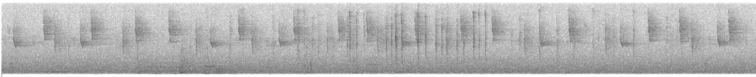 Colibri thalassin - ML644189448