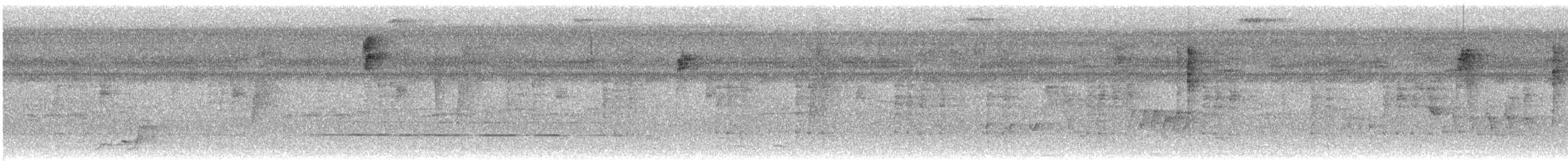 Black-bellied Wren - ML644189710