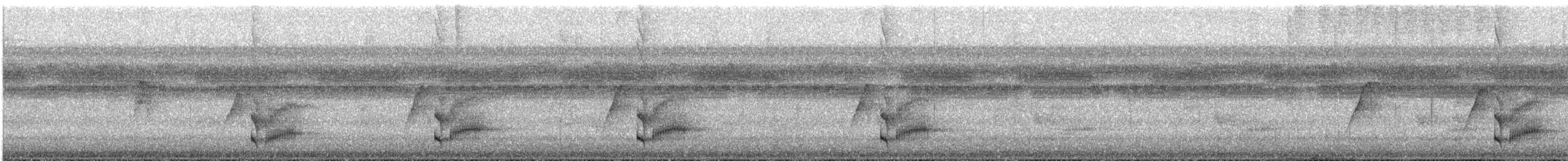 Blue-capped Manakin - ML644190127