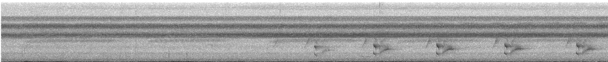 Blue-capped Manakin - ML644190129