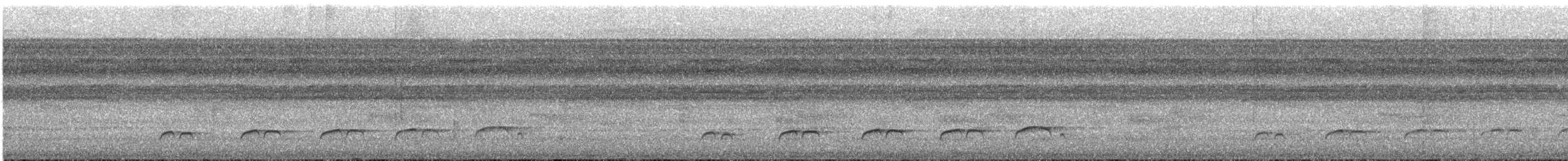 Bright-rumped Attila - ML644190153