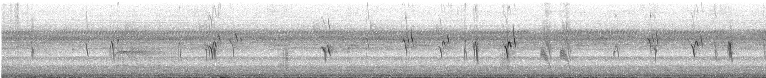 White-thighed Swallow - ML644190161