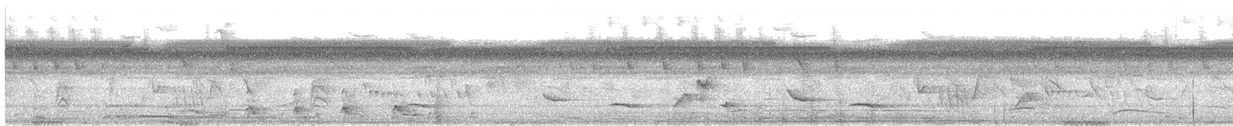 Yellow-tailed Oriole - ML644190362