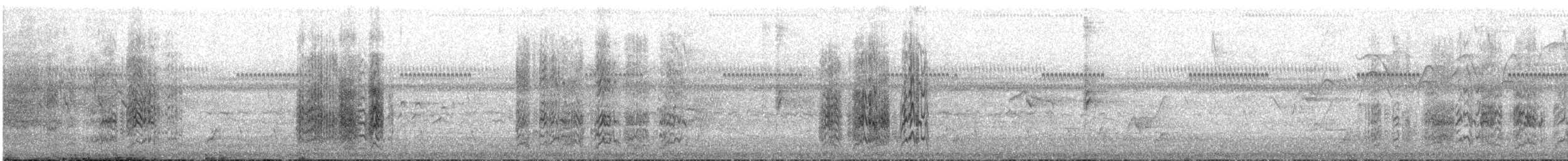 Ak Gözlü Papağan - ML644190497