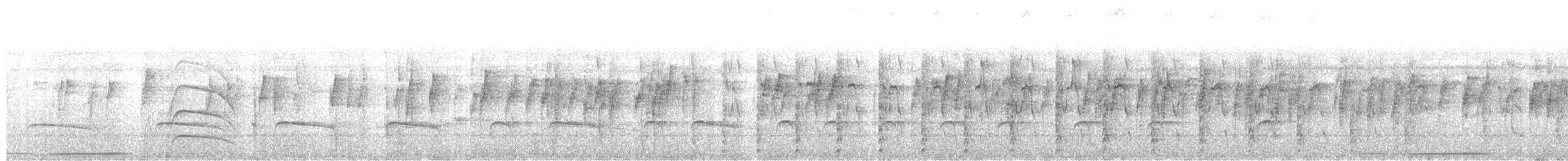 Cotorrita Aliturquesa - ML644190501