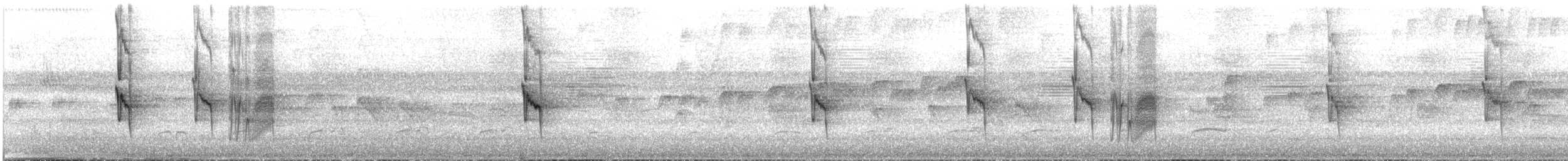 Tyran sociable - ML644190520