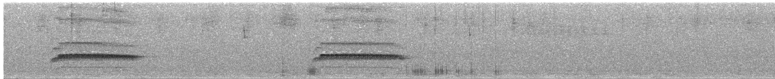 Spillmann's Tapaculo - ML644191066