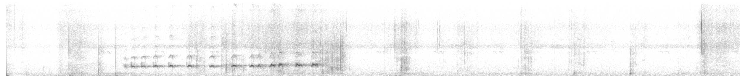 Wing-barred Piprites - ML644191370