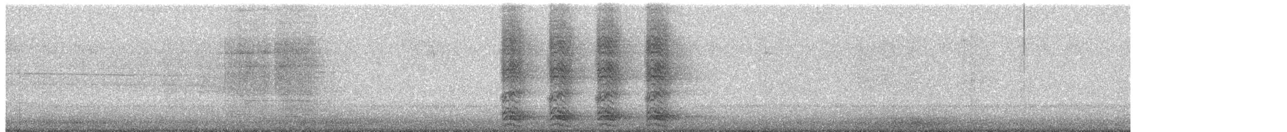 Corneille d'Amérique - ML644191438