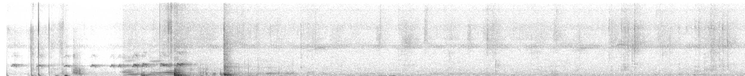 Wing-barred Piprites - ML644191472