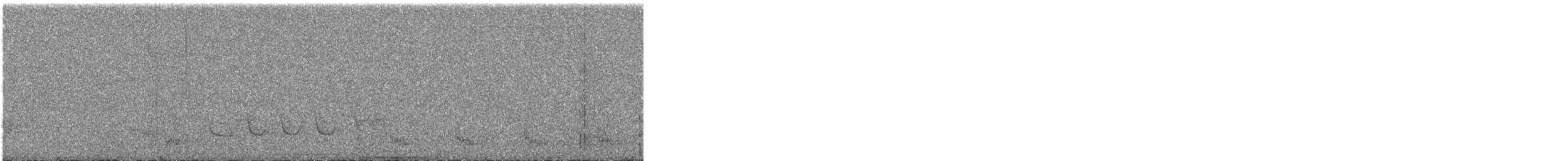 White-winged Becard - ML644192318