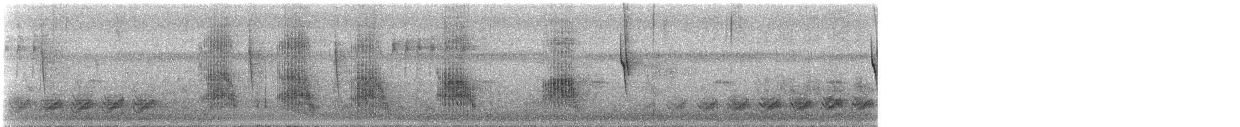 Cactus Wren - ML644192687