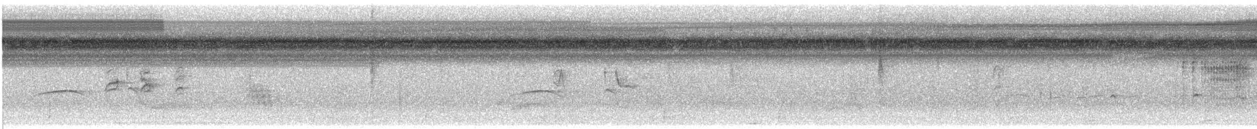 Western Wood-Pewee - ML644193220