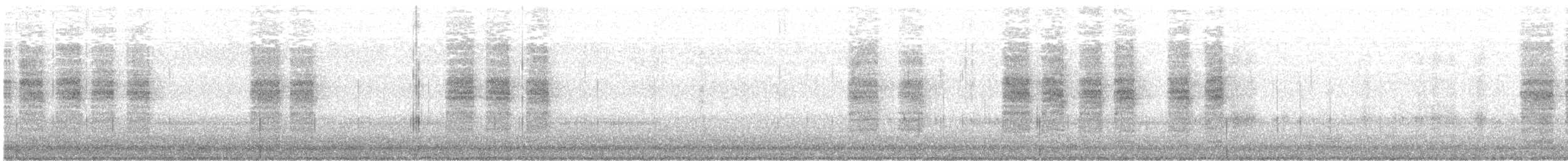 チャバラマユミソサザイ - ML644193323