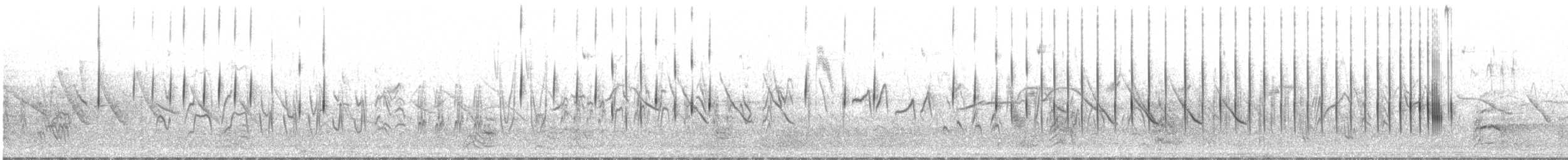 ズグロエンビタイランチョウ - ML644193369