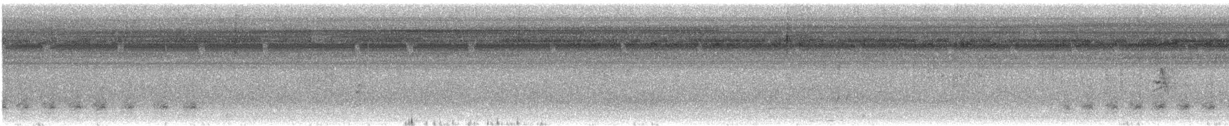 Sarı Gagalı Kasik - ML644193677