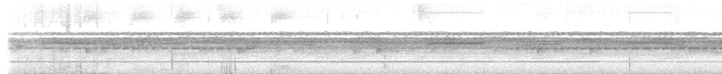 chocougle - ML644193763