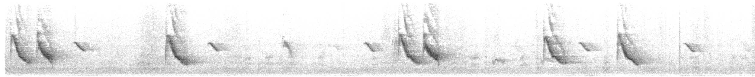 White-browed Laughingthrush - ML644193947