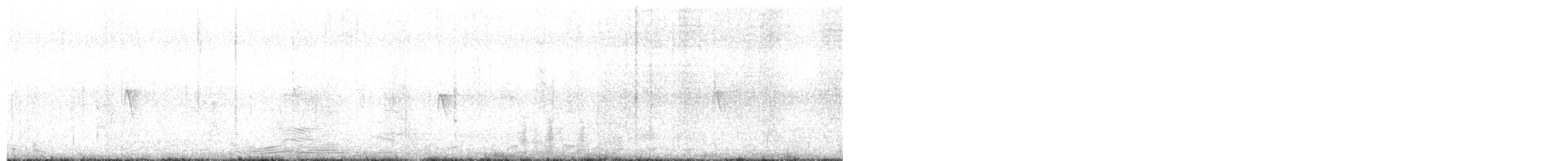 Black Phoebe (Northern) - ML644194472