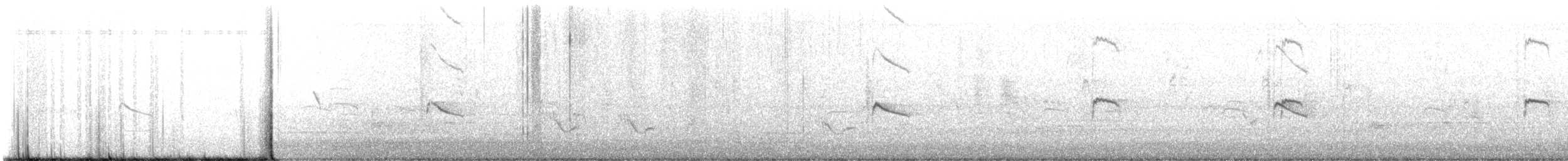 シマキンパラ - ML644194838