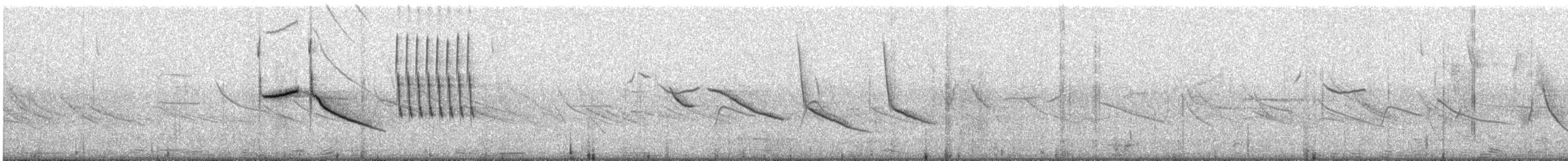 Bruant chingolo - ML644194957