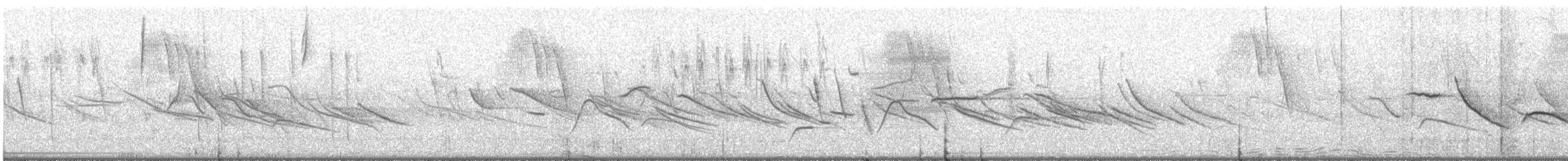 Cinereous Conebill - ML644195016