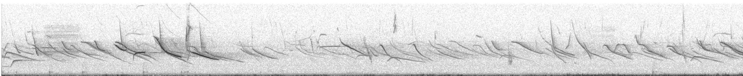 Bruant chingolo - ML644195031