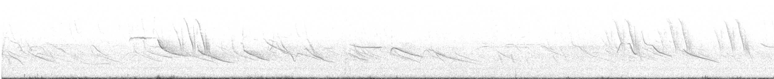 Bruant chingolo - ML644195032