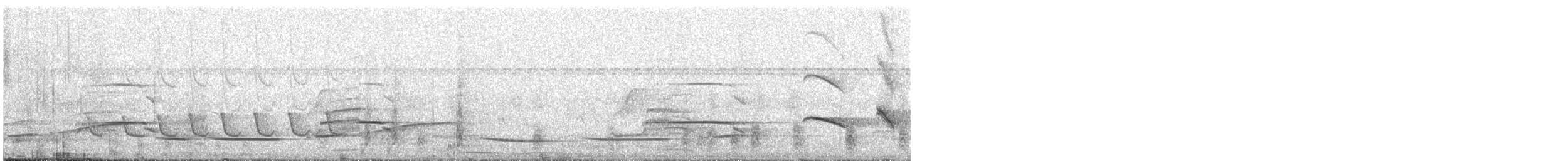 White-winged Becard - ML644195413