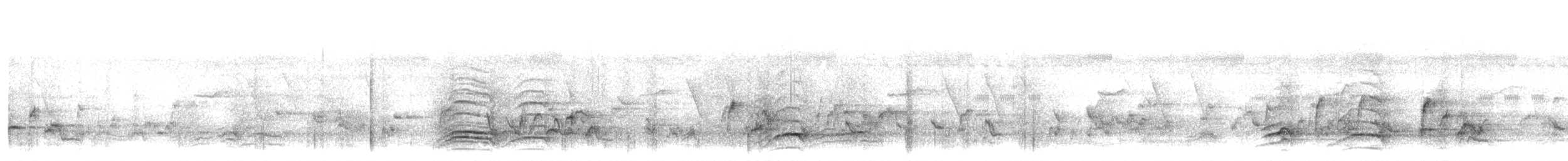 Malabar Gray Hornbill - ML644196122