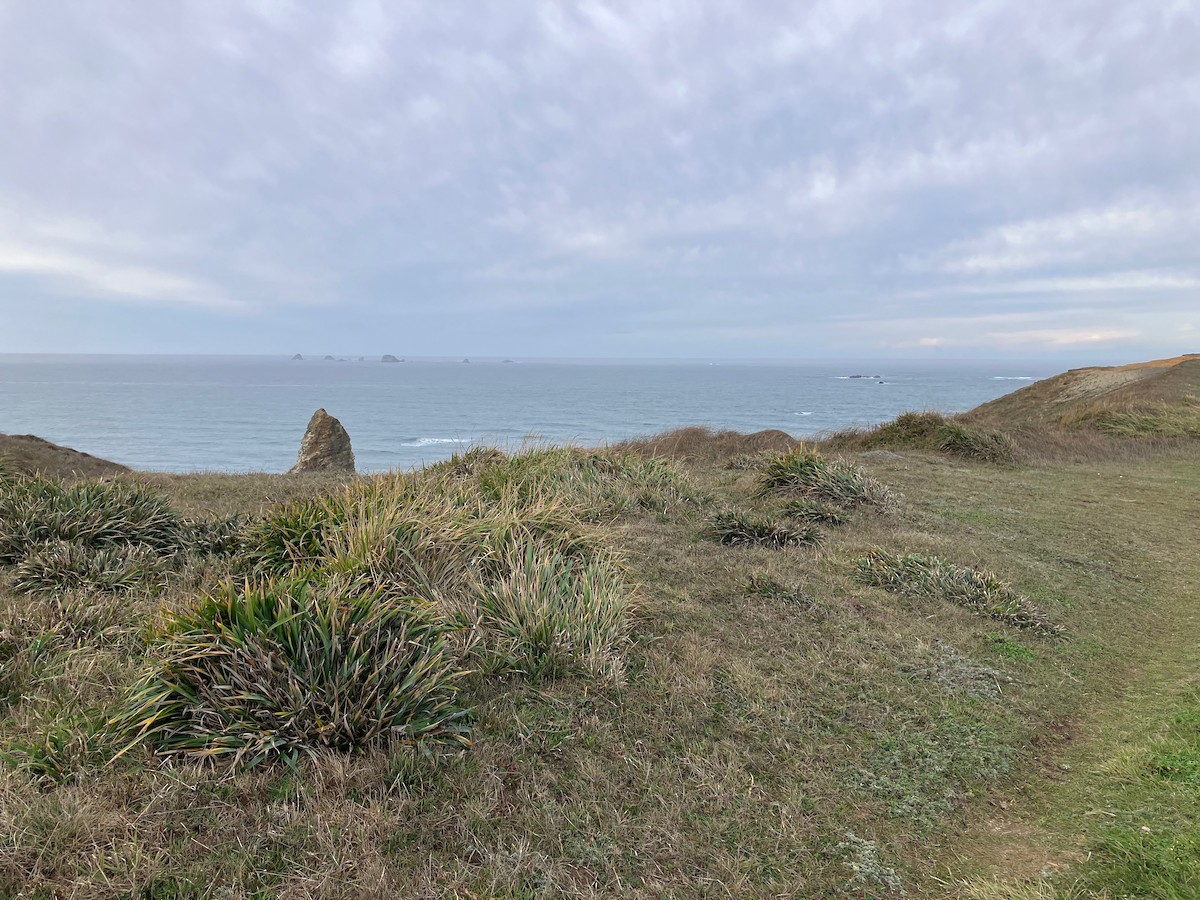 Буулгат хөмрөг - ML644196803