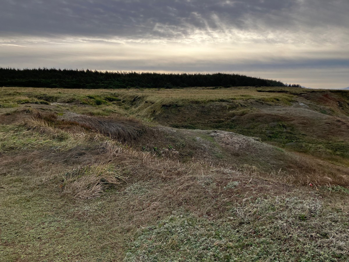 Буулгат хөмрөг - ML644196837