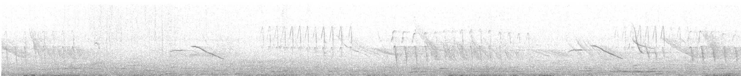 Chiguanco Thrush - ML644197812