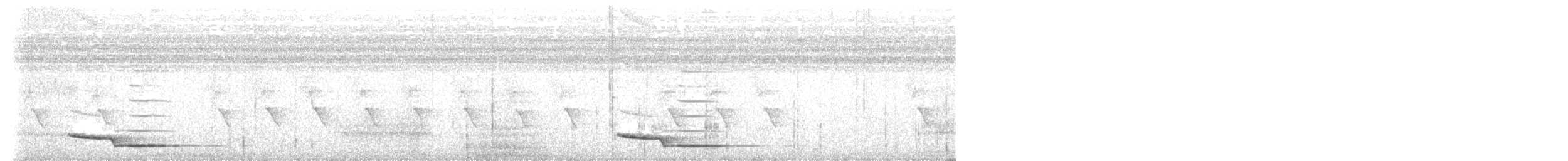 Zanzibar Boubou - ML644199577