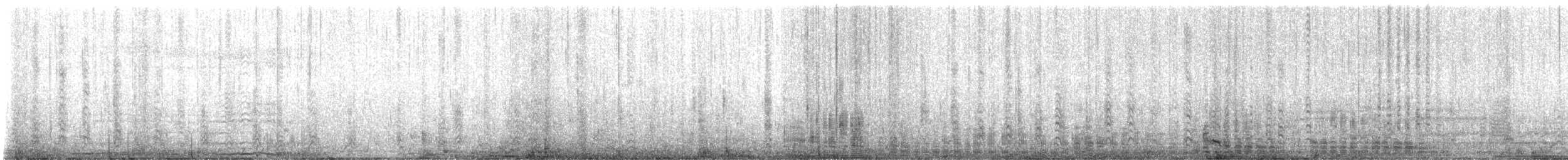 Antipodean Albatross - ML644199852