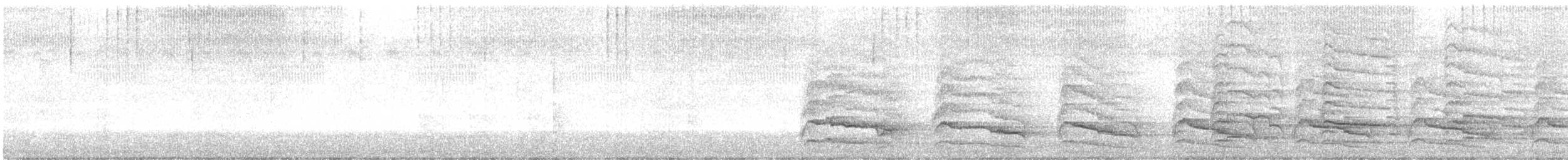 rødvingevåk - ML644201712