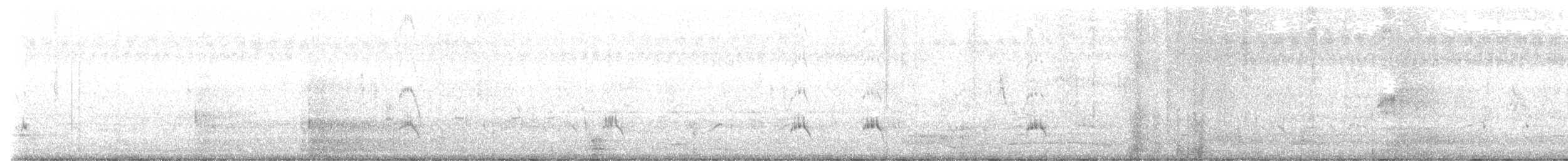 Gruccione egiziano - ML644204533