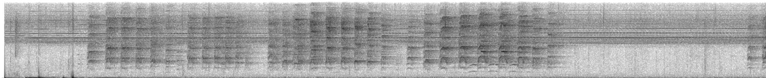 Oriental Pied-Hornbill - ML644204692