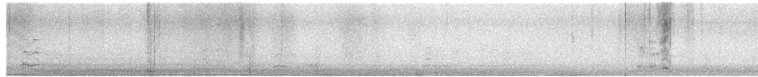 Pink-footed Goose - ML644204884